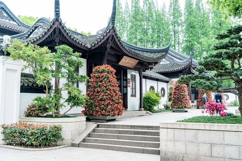 捷報丨設(shè)計學(xué)院風(fēng)景園林系2個項目獲2019英國國家景觀獎 bali